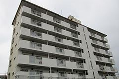 丸山コーポ25戸＋底地<br>（区分）